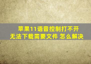 苹果11语音控制打不开 无法下载需要文件 怎么解决